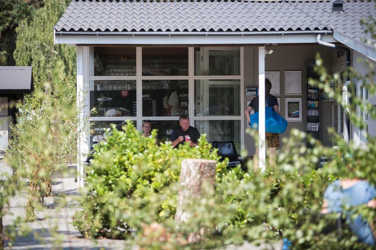 Campingplatz Dueodde Strand Camping Dueodde