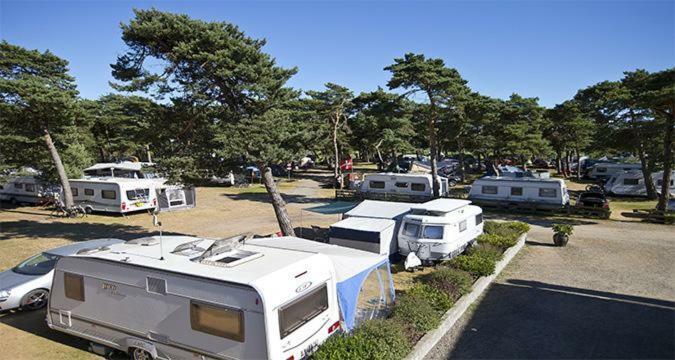 Dueodde Strand Camping Campingplatz Dueodde